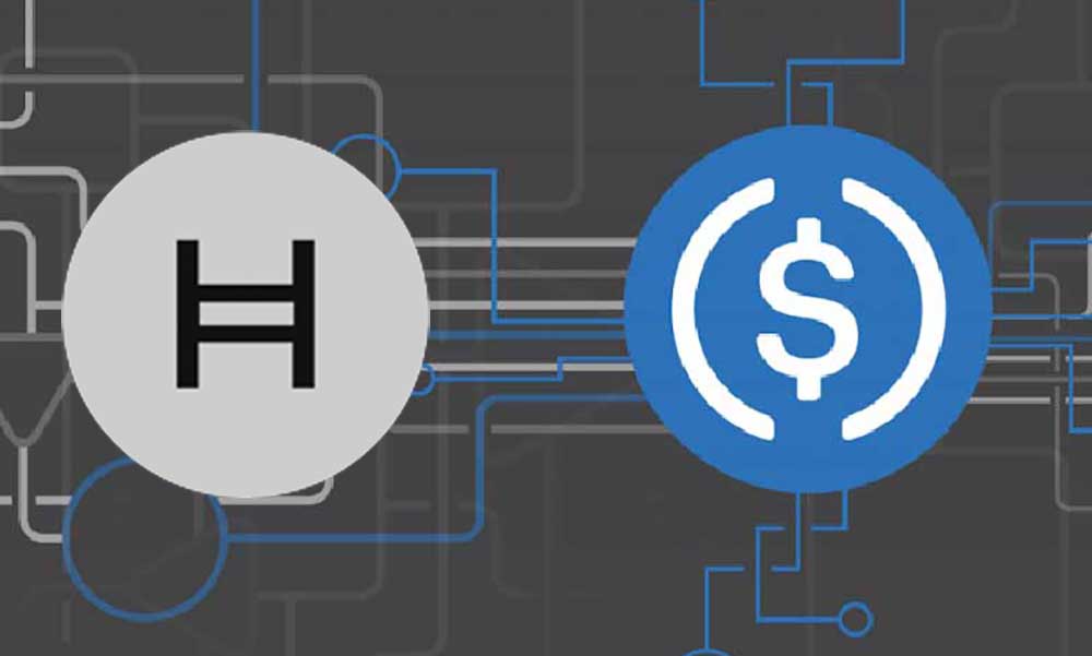 Circle, Sabit Kripto Parası USD Coin’i Hedera Ağında Kullanıma Sundu