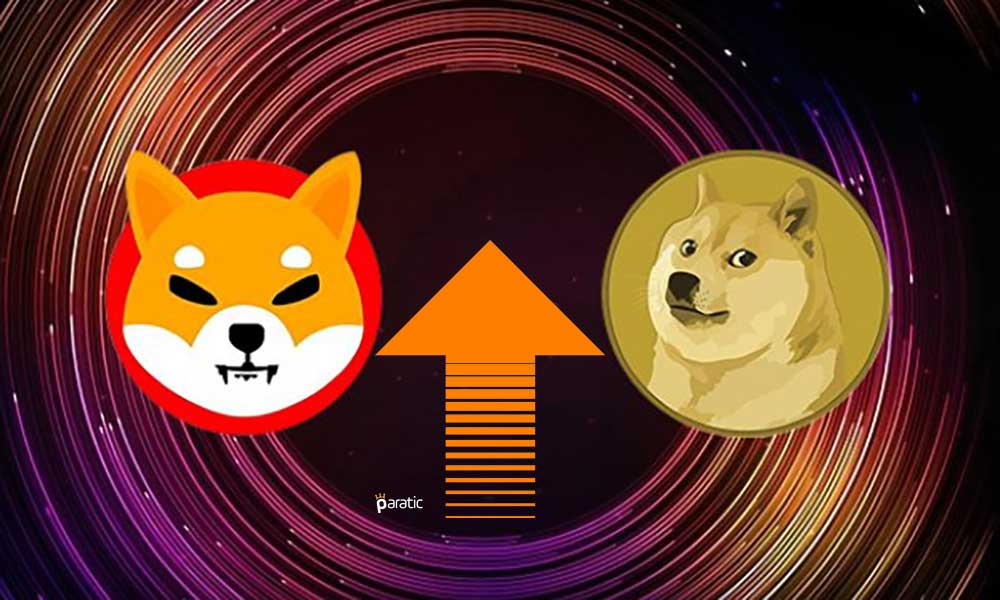 Dogecoin ve Shiba Inu Kripto Topluluğunun En Popüler Ürünleri Oldu