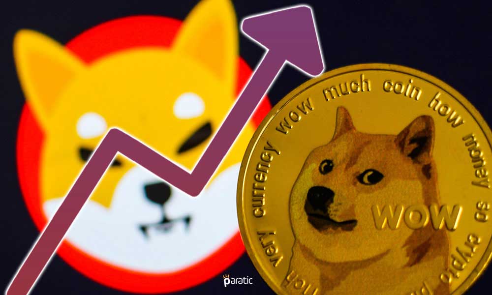 Dogecoin, Shiba Inu Rallisi Sonrası %45 Yükseliş Kaydetti