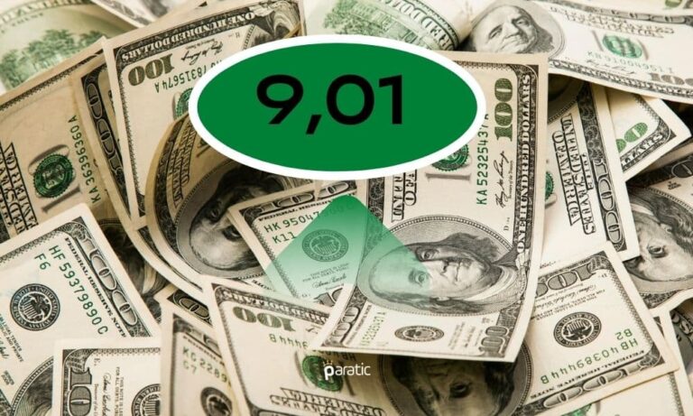Dolar 9,01’i Aşarak Bir Kez Daha Rekor Tazeledi