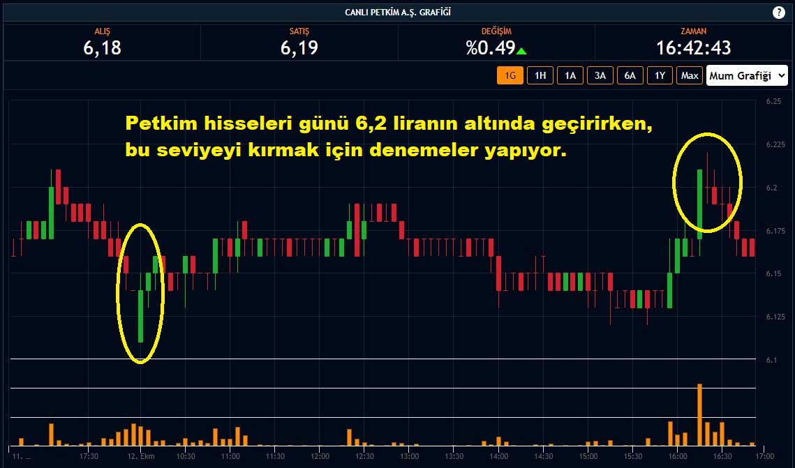 Petkim Hisseleri Yüzde 0,49 Yükseliş Petkim Hisseleri Yüzde 0,49 Yükseliş