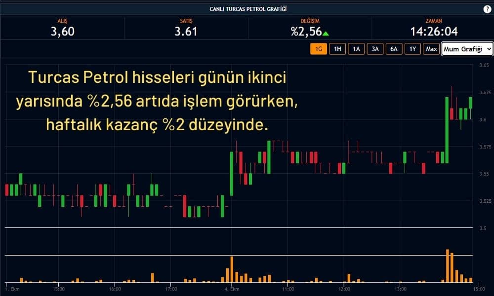 Turcas Petrol Hisseleri %2,5 Artıda