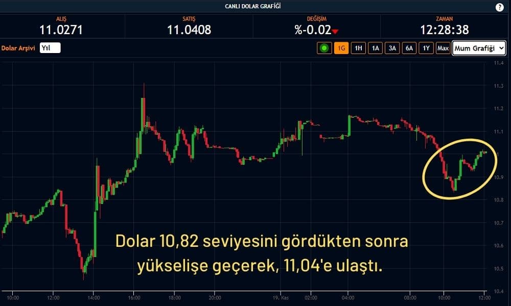 Dolar 11,04 TL