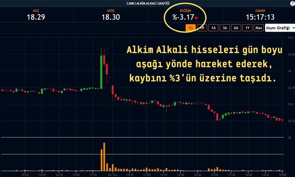 Alkim Alkali Hisseleri %3,17 Ekside Alkim Alkali Hisseleri %3,17 Ekside
