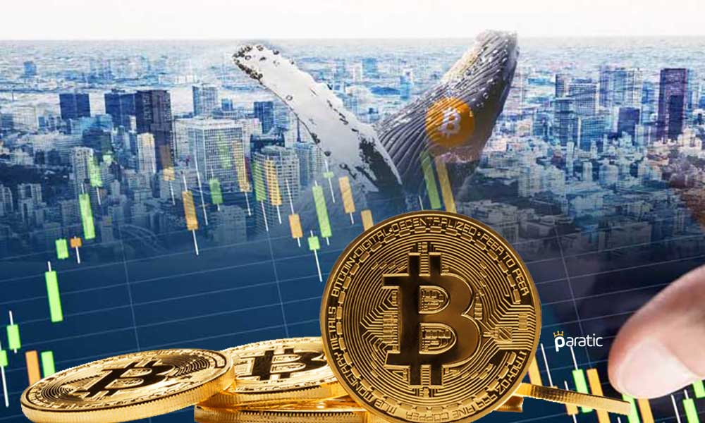 Bitcoin Balinalarının Varlıkları, Artan Enflasyon Korkusuna Rağmen En Yüksek Seviyeye Ulaştı