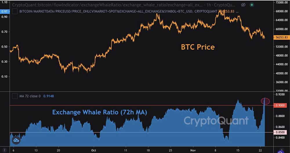 BTC döviz balina oranı BTC döviz balina oranı