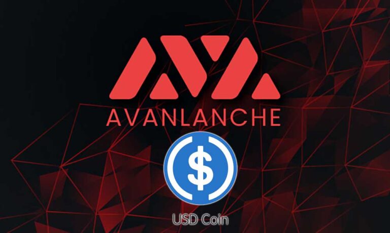 Avalanche, DeFi Ağına USDC Desteği Getiriyor