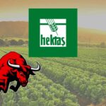 Hisseleri Rekor Tazeleyen Hektaş’tan Olağandışı Fiyat Hareketleri Açıklaması Geldi