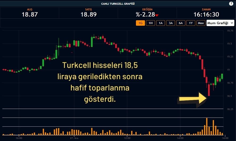 Turkcell Hisseleri %2,38  Ekside