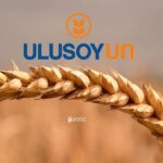 Ulusoy Un TMO İhalesinde Teslimatı 28 Şubat’a Kadar Bitirecek