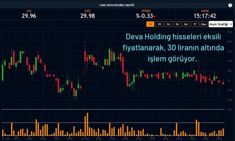 Deva Holding Hisseleri %0,33 Ekside