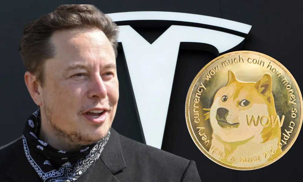 Dogecoin, Elon Musk’ın Tesla Açıklaması Sonrası %20’ye Yakın Yükseldi