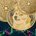 Dogecoin Tesla Haberi ile Yükselirken 8 Milyon Dolar Kısa Pozisyon Tasfiye Oldu