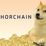 Dogecoin, Merkeziyetsiz Thorchain Protokolü Tarafından Desteklenecek