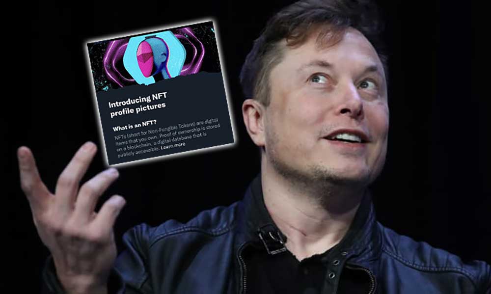 Elon Musk, Twitter’ın NFT Özelliğini ‘Rahatsız Edici’ Buldu