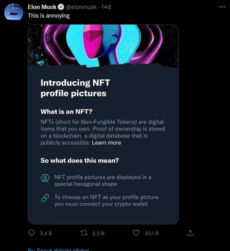 Elon Musk, Twitter NFT paylaşımı