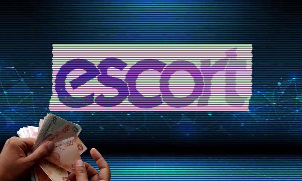 Ralliyi Sürdüren Escort Teknoloji Hisseleri Aylık %33 Değerlendi