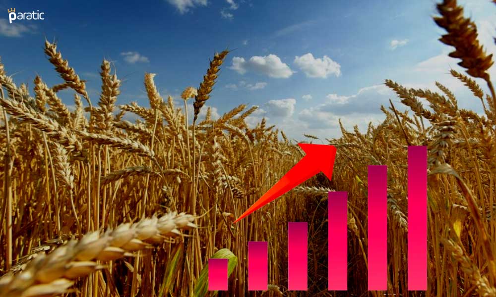 Tarım-ÜFE 2021’in Son Ayında Yıllık %36,39 Arttı