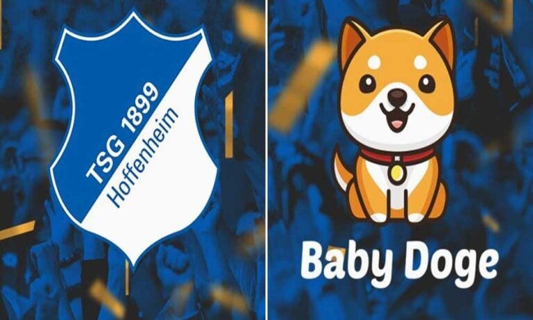 Baby Doge, TSG Hoffenheim ile NFT Dünyasına Giriyor