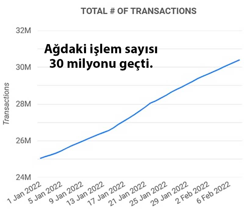 Cardano işlem sayısı Cardano işlem sayısı