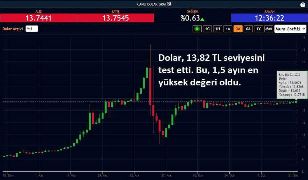 Dolar/TL 13,82