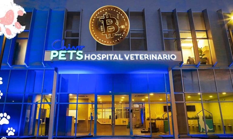 El Salvador Bitcoin Fonu ile Hayvan Hastanesi Açıyor