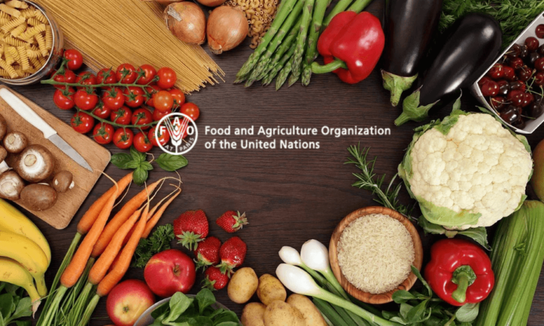 FAO Gıda Fiyat Endeksi Bir Alt Grup Hariç Hepsinde Yükseldi