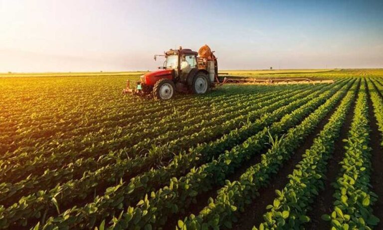 Tarımsal Girdi Fiyat Endeksi 2021 Aralık Verileri Açıklandı
