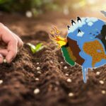 İklim Krizi için Korkutan Uyarı: Tarımda Kayıp Büyük Olabilir