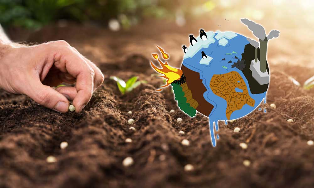 İklim Krizi için Korkutan Uyarı: Tarımda Kayıp Büyük Olabilir