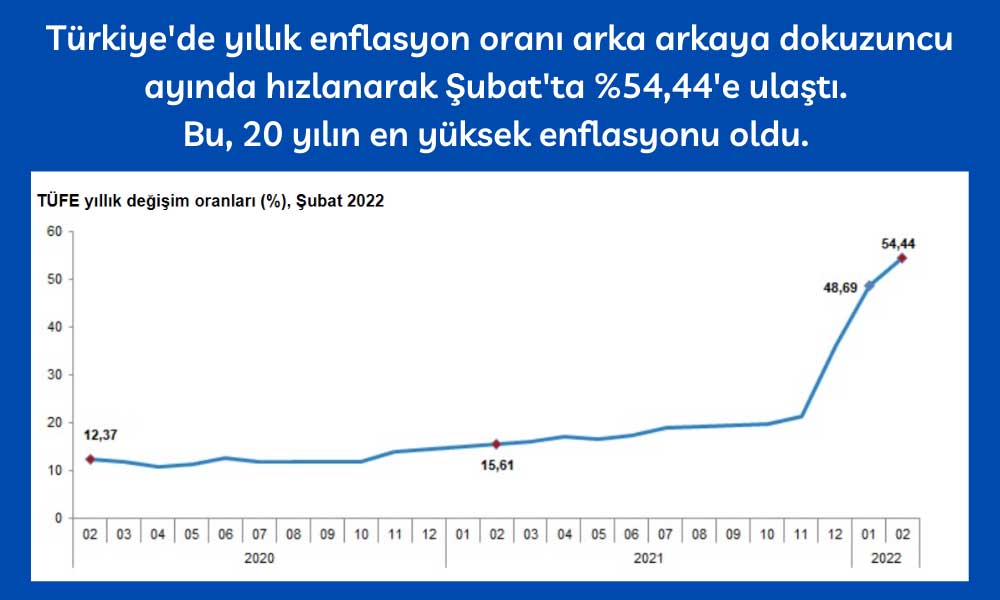 Türkiye Yıllık Enflasyon Şubat
