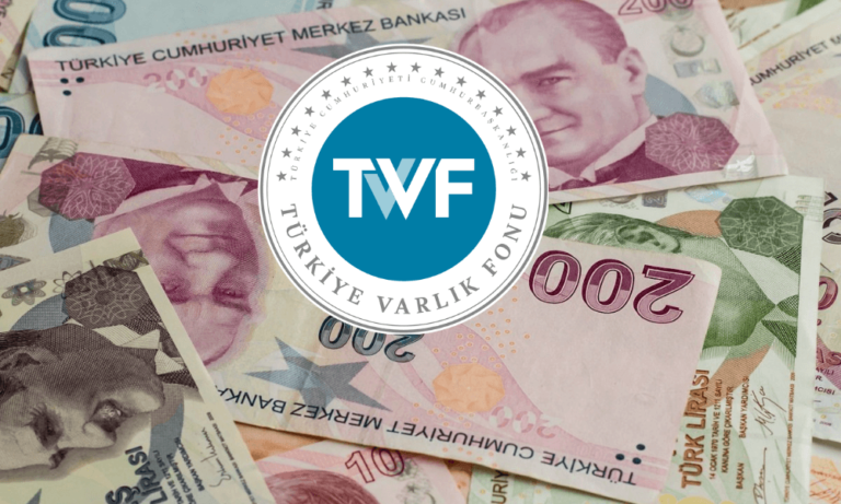 TVF’den 6 Kamu Bankasına Sermaye Desteği!