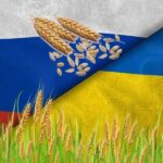 Alman Bakan: Avrupa’nın Tahıl Ambarı Ateş Altında