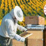 Bakan Kirişçi: Destek Ödemeleri Bugün Hesaplara Aktarılacak