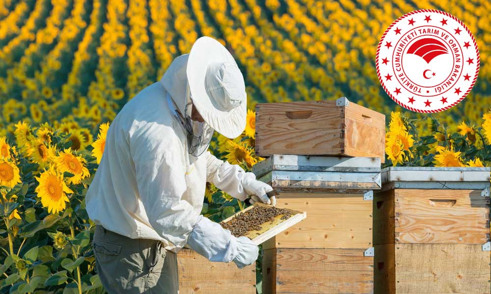 Bakan Kirişçi: Destek Ödemeleri Bugün Hesaplara Aktarılacak