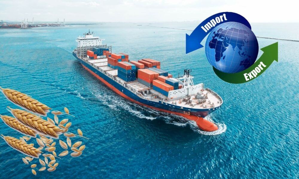 Gıda Krizinin Çözümü için Ticaret Engelleri Azaltılmalı