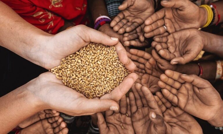 IMF, DTÖ, WFP ve Dünya Bankası’ndan Gıda Krizi için Çağrı!
