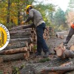 OGM 5 Bin Geçici İşçi Alacak! Başvuru Detayları Yayımlandı