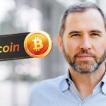 Ripple CEO’su: Bitcoin Maksimalizmi Kripto Sektörünü Baltalıyor