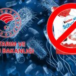 Tarım Bakanlığından Kinder Kararı: Ürünler Toplatılıyor!