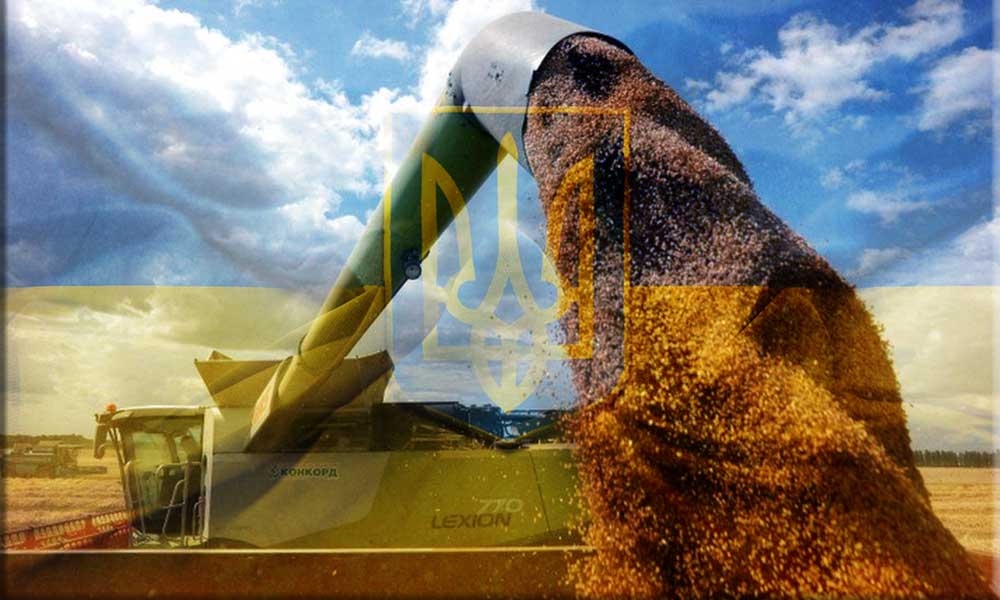 BM, Ukrayna’da 25 Milyon Ton Tahılın Mahsur Kaldığını Bildirdi