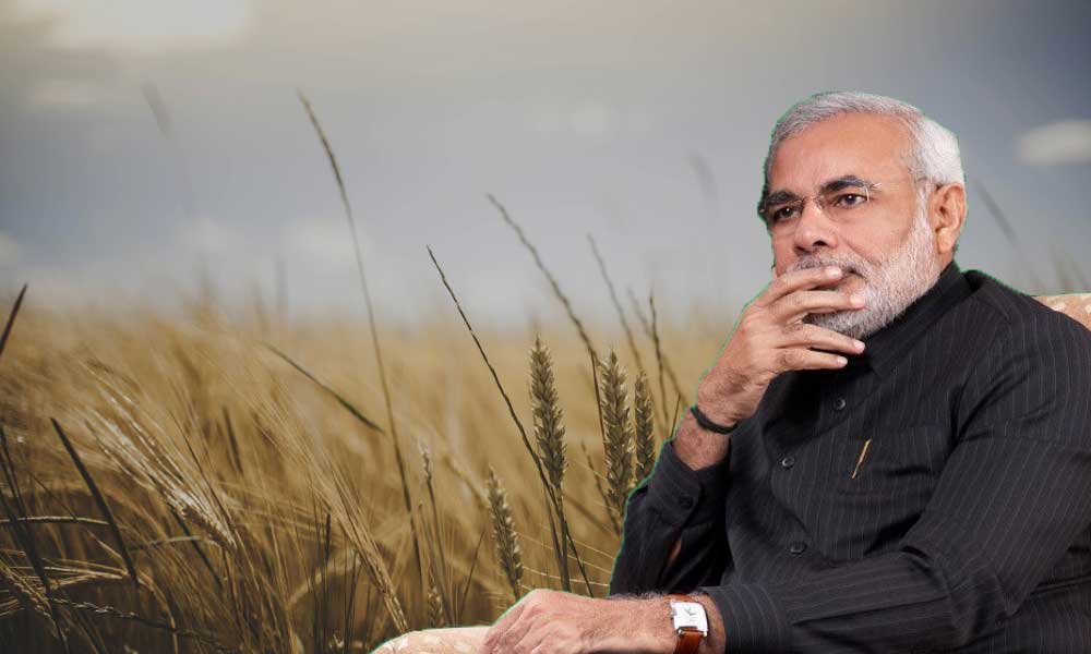 Buğday Fiyatları Hindistan’ın Sürpriz Kararıyla Rekora Yaklaştı