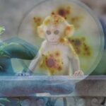 Covid Bitmeden Maymun Çiçeği Virüsü Alarmı Başladı