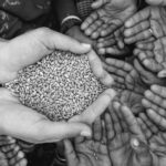 Dünya Bankası’ndan Gıda Krizine 30 Milyar Dolar Yardım!