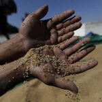 Dünya Buğday Stokları 2008 Krizi Sonrası En Düşük Seviyede