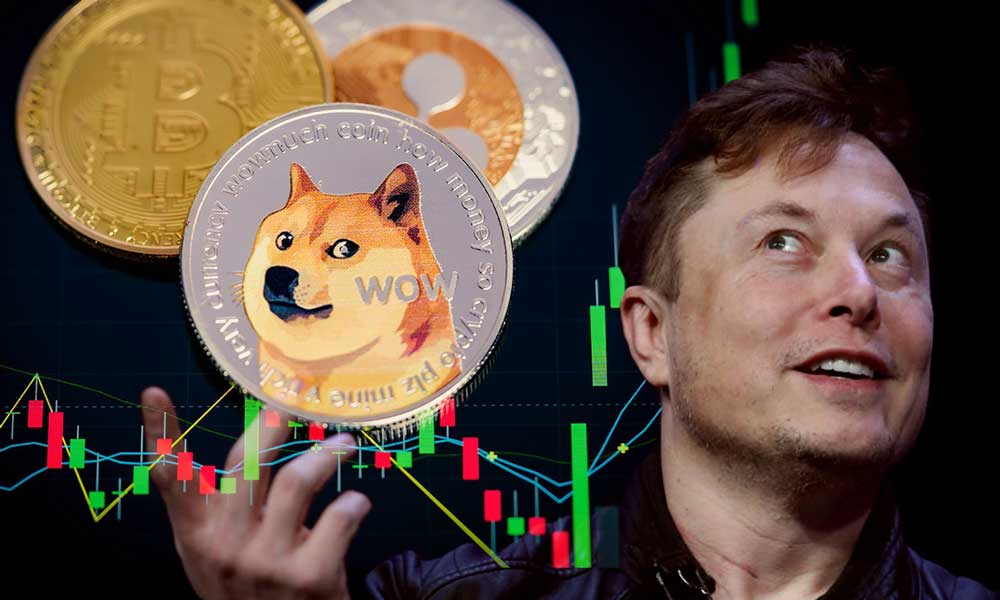 Elon Musk’tan Dogecoin Açıklaması: Tesla ve SpaceX Kabul Edecek