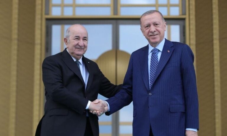 Erdoğan: Cezayir ile Birçok Alanda Anlaşmalara İmza Attık
