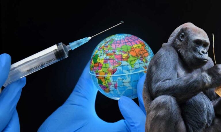 Küresel Aşı İttifakından Maymun Çiçeği Uyarısı!