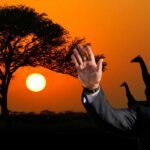 Putin Afrika Günü’nü Kutladı: İlişkileri Geliştirmeye Hazırız