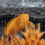 Rusya: Gıda Krizi Ukrayna Operasyonundan Önce Başladı